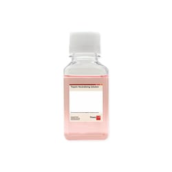 Promocell GmbH PromoCell TNS 250ml, Trypsin Neutralizing Solution (0.05 % trypsin inhibitor, 0.1 % BSA)