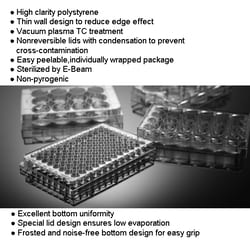 Azzota Corp 6 Well Glass Bottom Cell Culture Plate, Bottom Diameter 20mm,