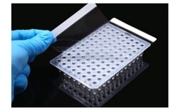 Azzota Corp Regular Pcr Sealing Film, Transparent, Adhesive, 146X81mm, Like Msb1001