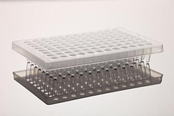 Azzota Corp&nbsp;0.2Ml 96 Well Pcr Plate, No Skirt, Clear,100Pk
