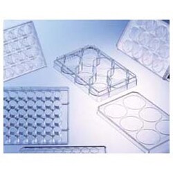 Azzota Corp Multiwell Cell Culture Plate, 6 Wells, Made Of Crystal Polystyrene, Conforming To The Sbs-3D-Standard. Individual Sterile Packaged
