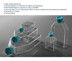 Azzota Corp Cell Culture Flasks, 50Ml, Growth Area 25Cm2, Vent Cap, 10/Pack