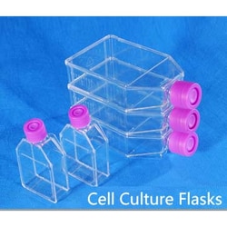 Azzota Corp 35mm Cell Culture Dishes 5Pk