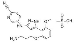 Medkoo Biosciences Inc Prexasertib mesylate | 1234015-55-4 | 25mg, Quantity: