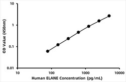 ABclonal Technology HUMAN NEUTROPHIL ELASTASE (ELA, Quantity: Each of 1
