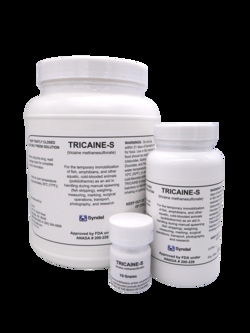 Syndel USA Syncaine 100g, Quantity: Each of 1