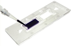 Bulldog Bio Inc CCHIP DISP HEMOCYTOMTR NI 50TS, Quantity: Each of 1