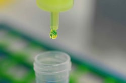 Bulldog Bio Inc GFPTRAP MAG AGAROSE 0.25ML, Quantity: Each of 1