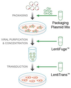 Cellecta Inc LentiTrans Transduction Reagent (Polybrene for Transduction),