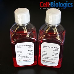 Cell Biologics FIBROBLAST BASAL MEDIUM, Quantity: Each of 1