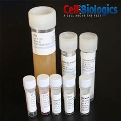 Cell Biologics RABBIT ENDOTHELIAL MEDIUM, Quantity: Each of 1