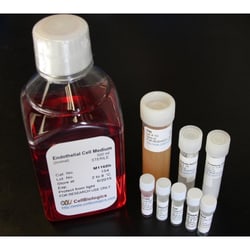 Cell Biologics Complete Human Epithelial Cell Medium /W Kit - 500 mL, Quantity: