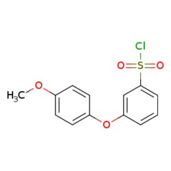 eMolecules​ [3-(4-METHOXYPHENOXY)PHENYL]SULFONYL CHLORIDE | 874959-95-2