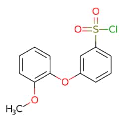 eMolecules​ [3-(2-METHOXYPHENOXY)PHENYL]SULFONYL CHLORIDE | 521980-26-7