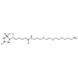eMolecules​ Biotin-PEG3-(CH2)3-NH2 TFA salt | Broadpharm | 1374658-86-2