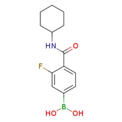 eMolecules​ N-Cyclohexyl 4-borono-2-fluorobenzamide | 874289-11-9 | 1G