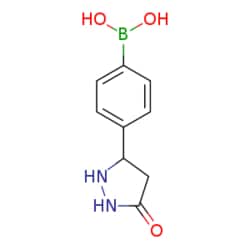 eMolecules​ 4-(5-Oxopyrazolidin-3-yl)phenylboronic acid | 874290-64-9 |