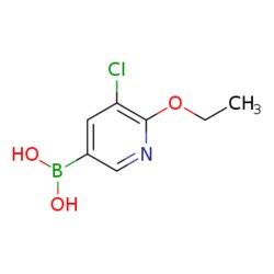 eMolecules​&nbsp;5-Chloro-6-ethoxypyridine-3-boronic acid | 1150114-68-3 | 1G | Purity: 97%