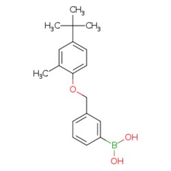 eMolecules​ 3-[(4'-tert-Butyl-2'-methylphenoxy)methyl]phenylboronic acid