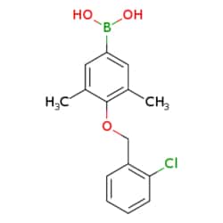 eMolecules​ 4-(2'-Chlorobenzyloxy)-3,5-dimethylphenylboronic acid | 849052-15-9