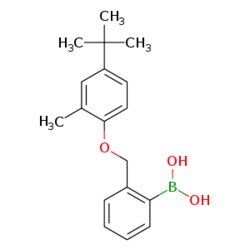 eMolecules​ 2-[(4'-tert-Butyl-2'-methylphenoxy)methyl]phenylboronic acid