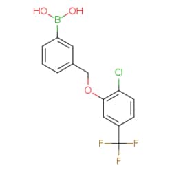 eMolecules​ 3-((2'-Chloro-5'-(trifluoromethyl)phenoxy)methyl)phenylboronic
