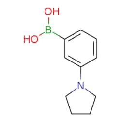 eMolecules​ 3-Pyrrolidinophenylboronic acid | 659731-18-7 | 1G | Purity: