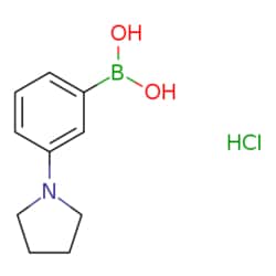 eMolecules​ 3-Pyrrolidinophenylboronic acid, HCl | 1218790-77-2 | 1G |
