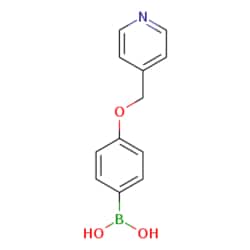 eMolecules​ 4-(Pyridin-4-ylmethoxy)phenylboronic acid | 1228181-39-2 |