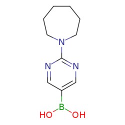 eMolecules​ 2-(Azepan-1-yl)pyrimidine-5-boronic acid | 2096333-81-0 | 250MG