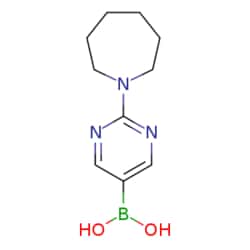 eMolecules​ 2-(Azepan-1-yl)pyrimidine-5-boronic acid | 2096333-81-0 | 1G