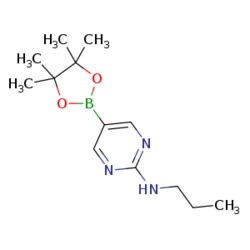 eMolecules​ 2-Propylaminopyrimidine-5-boronic acid, pinacol ester | 1218791-47-9