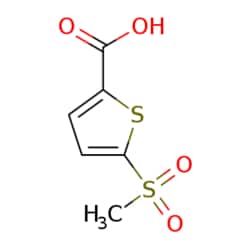 eMolecules​&nbsp;5-(Methylsulfonyl)thiophene-2-carboxylic acid | 60166-86-1 | 1G | Purity: 98%