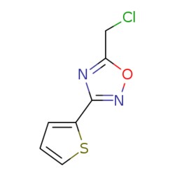 eMolecules​&nbsp;5-(Chloromethyl)-3-(2-thienyl)-1,2,4-oxadiazole | 63417-81-2 | 1G | Purity: 95%