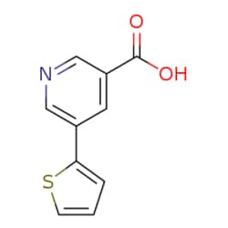 eMolecules​ 5-(Thiophen-2-yl)nicotinic acid | 306934-96-3 | 5G | Purity: