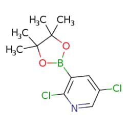 eMolecules​ 2,5-Dichloropyridine-3-boronic acid pinacol ester | 1073371-98-8