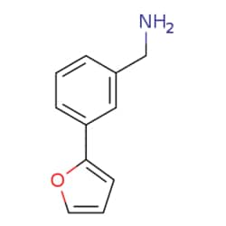 eMolecules​ [3-(2-Furyl)phenyl]methylamine | 771573-26-3 | 1G | Purity: