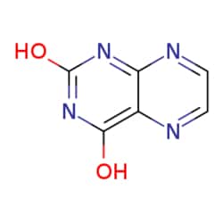 eMolecules​&nbsp;Lumazine | 487-21-8 | 1G | Purity: 90%