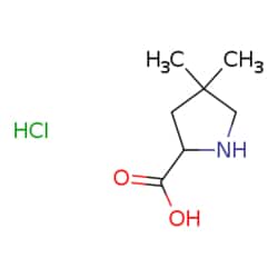 eMolecules​ 63624-41-9 | 4,4-Dimethyl-pyrrolidine-2-carboxylic acid | 1G,