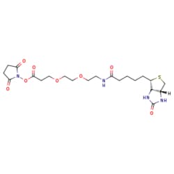 eMolecules​ Biotin-PEG2-NHS ester | Broadpharm | 596820-83-6 | MFCD11974976