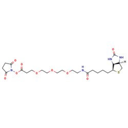 eMolecules​ Biotin-PEG3-NHS ester | 1253286-56-4 | 1G | Purity: 98%, Quantity: