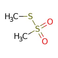 eMolecules​ S-Methyl methanethiosulfonate | 2949-92-0 | 1G | Purity: 97%