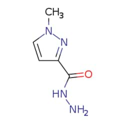 eMolecules​ 1-Methyl-1h-pyrazole-3-carbohydrazide | 304665-45-0 | 1G |