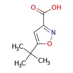 eMolecules​ 5-tert-Butylisoxazole-3-carboxylic acid | 90607-21-9 | 1G |