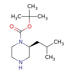 eMolecules​ (2S)-1-N-Boc-2-isobutylpiperazine | 674792-06-4 | 1G, Quantity: