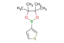 eMolecules​ Thiophene-3-boronic acid, pinacol ester | 214360-70-0 | MFCD05663893