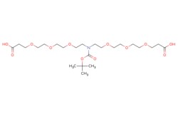 eMolecules​&nbsp;N-Boc-N-bis(PEG3-acid) | Broadpharm | 2055023-35-1 | MFCD29912757 | 525.592 | C23H43NO12 | 97.000 | CC(C)(C)OC(=O)N(CCOCCOCCOCCC(O)=O)CCOCCOCCOCCC(O)=O | 500mg | 309208999