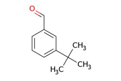 eMolecules​ 3-tert-Butylbenzaldehyde | 23039-28-3 | MFCD11100027 | 5g,