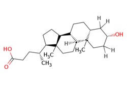 eMolecules​&nbsp;Lithocholic acid | Combi-Blocks | 434-13-9 | MFCD00003682 | 376.581 | C24H40O3 | 95.000 | C[C@H](CCC(O)=O)[C@H]1CC[C@H]2[C@@H]3CC[C@@H]4C[C@H](O)CC[C@]4(C)[C@H]3CC[C@]12C | 25g | 380312196