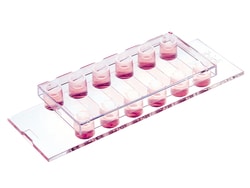 Ibidi Usa Inc&nbsp;U-SLIDE VI 0.4 IBIDI IBITREA P